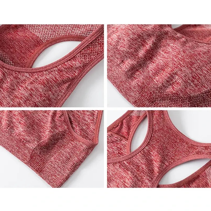 Ladies Seamless Sports Bra